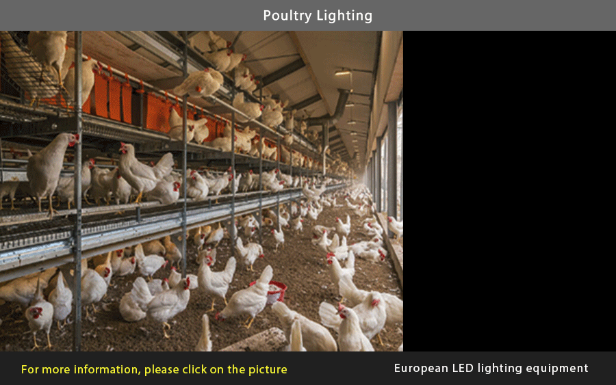 XLG-320-48-ABV Series